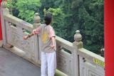 文章附图